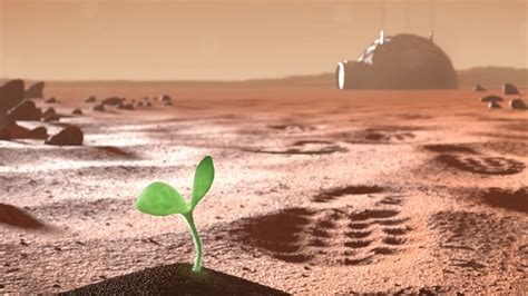 B­i­l­i­m­ ­İ­n­s­a­n­l­a­r­ı­ ­M­a­r­s­­t­a­ ­İ­l­k­ ­H­a­n­g­i­ ­B­i­t­k­i­ ­Y­e­t­i­ş­t­i­r­i­l­m­e­l­i­ ­A­ç­ı­k­l­a­d­ı­!­
